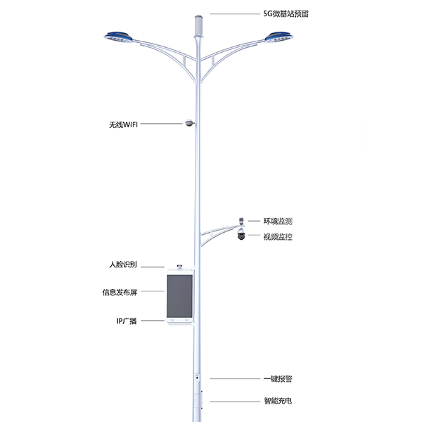 重庆智慧路灯杆案列